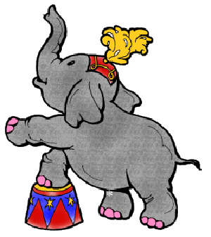 Gray circus elephant balancing on a red-and-blue starred pedestal with yellow plume headdress.