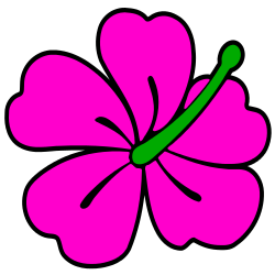 Vibrant pink hibiscus flower with green stamen, stylized cartoon illustration on white background.