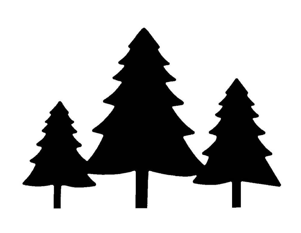 Silhouette of three black pine trees of varying sizes on a white background.