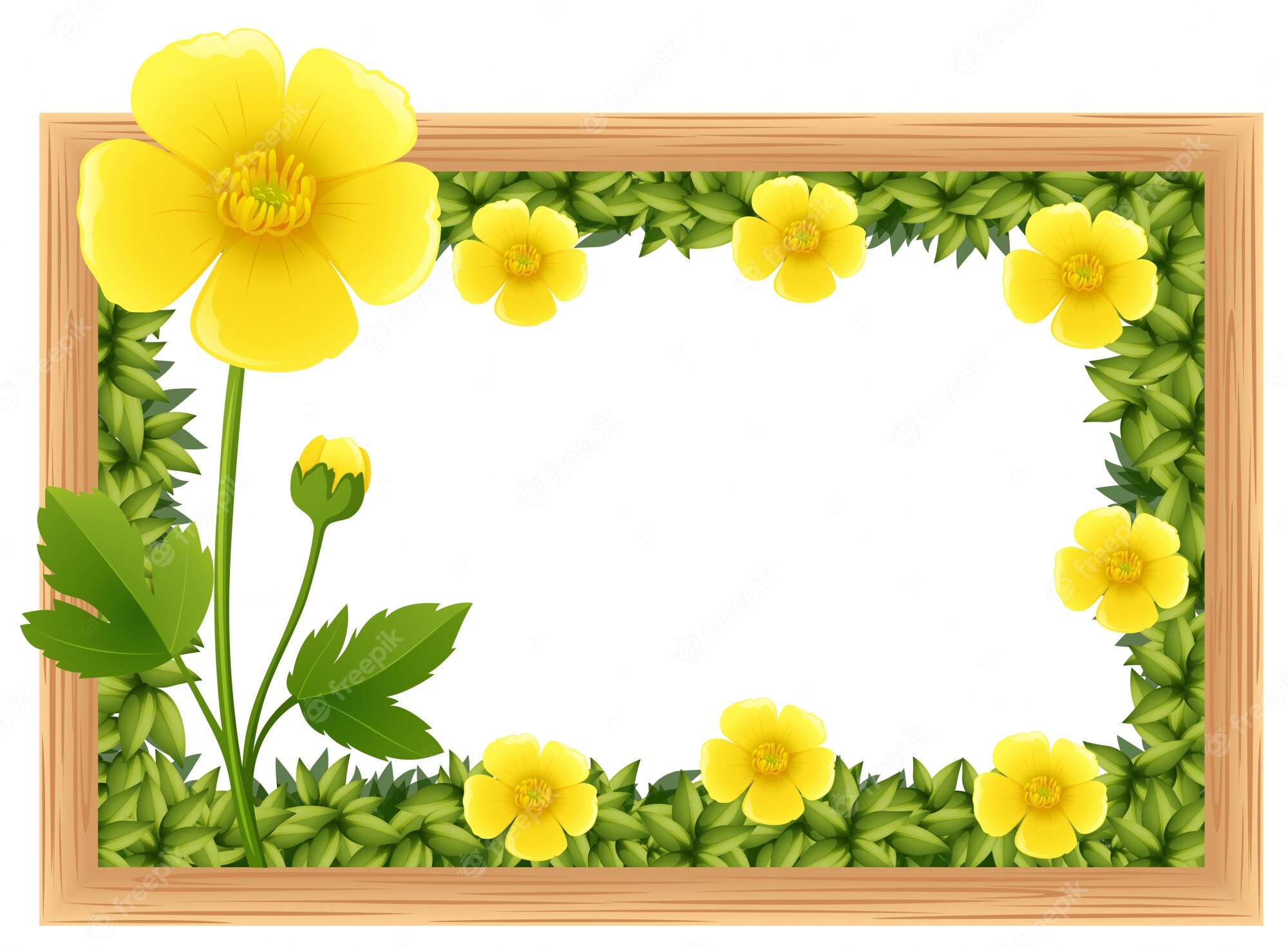 Buttercup Flower Clip Art, Transparent PNG Clipart Images Free - Clip