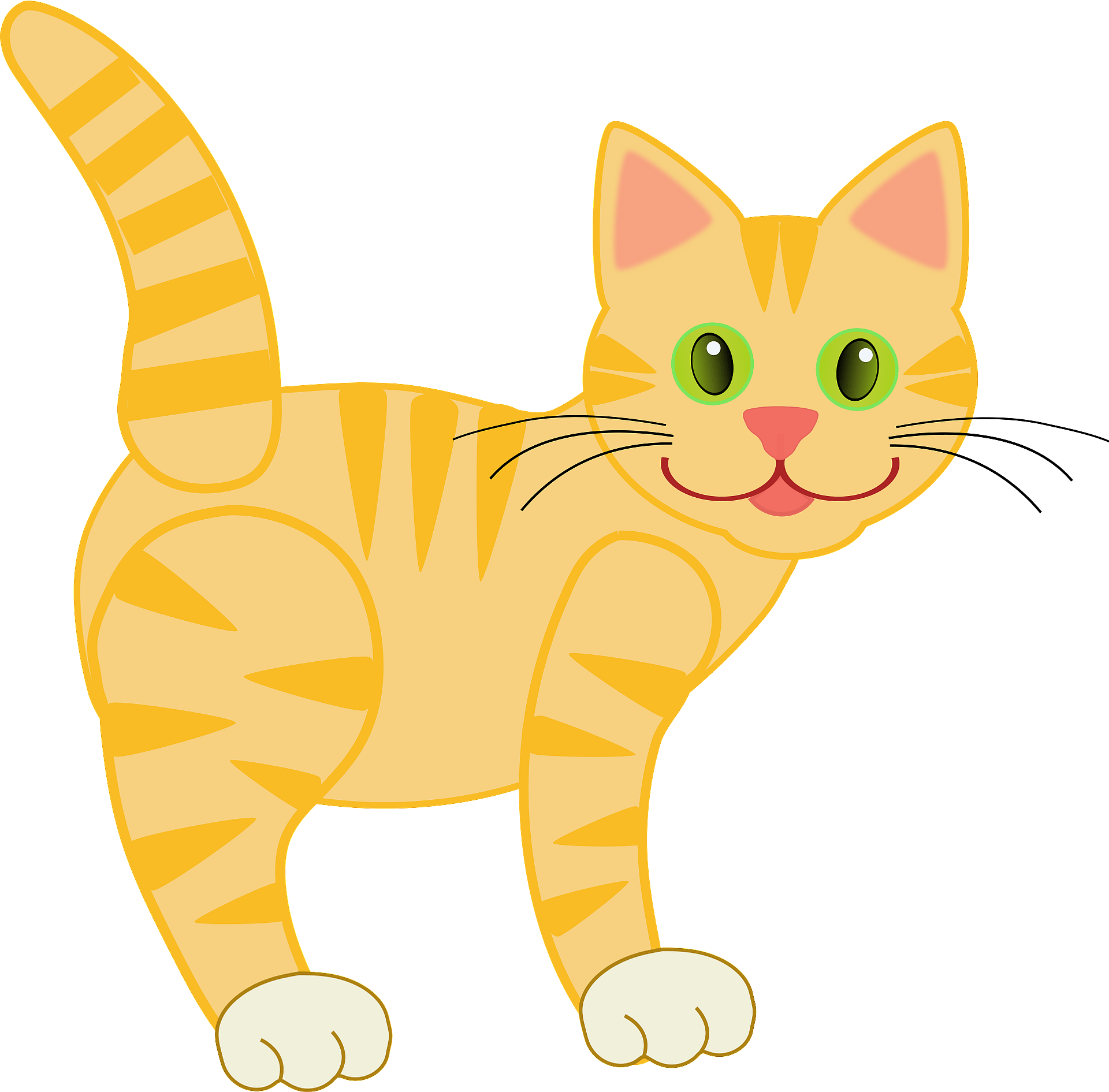 Cheerful orange tabby cat with green eyes, striped tail raised, and playful stance on gray background.