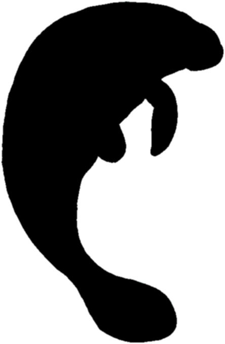 Manatee Silhouette Illustration - Marine Mammal Conservation & Education