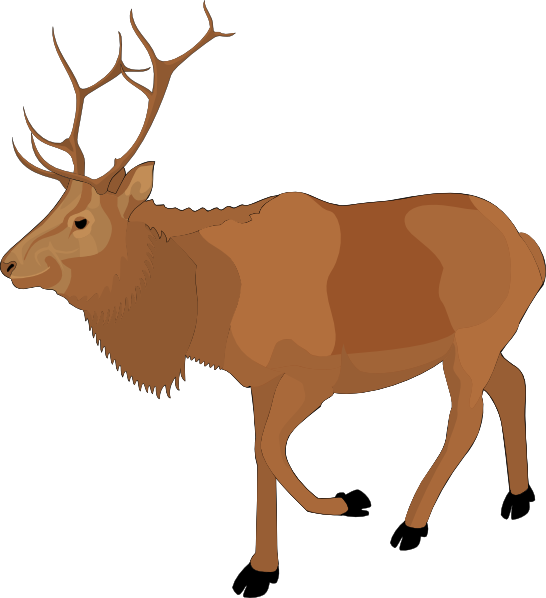 yellowstone national park wildlife - Clip Art Library - Clip Art Library