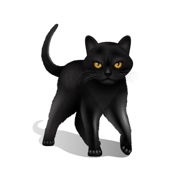 Black Cat with Yellow Eyes - High-Resolution Illustration