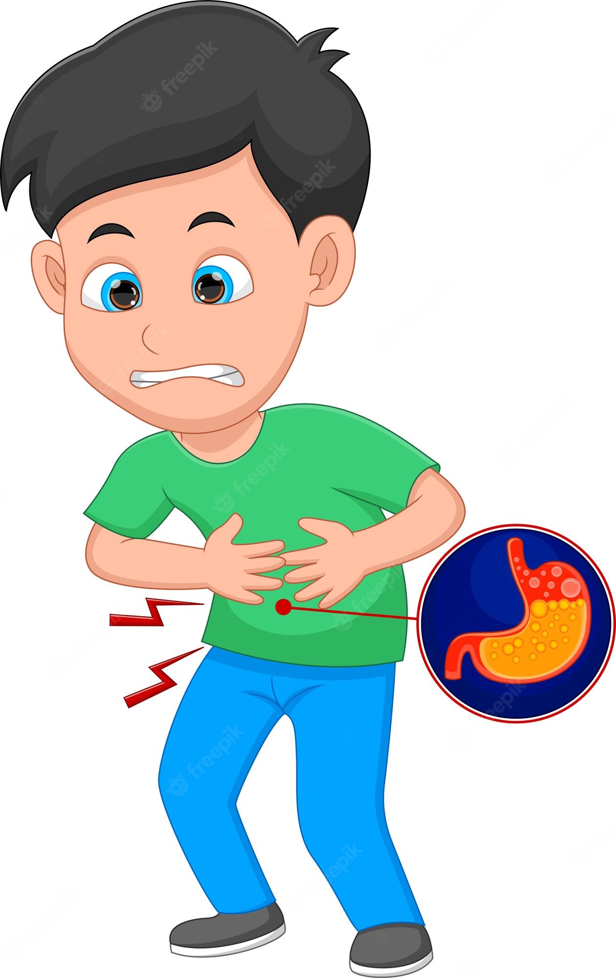 Stomach Clipart For Kids