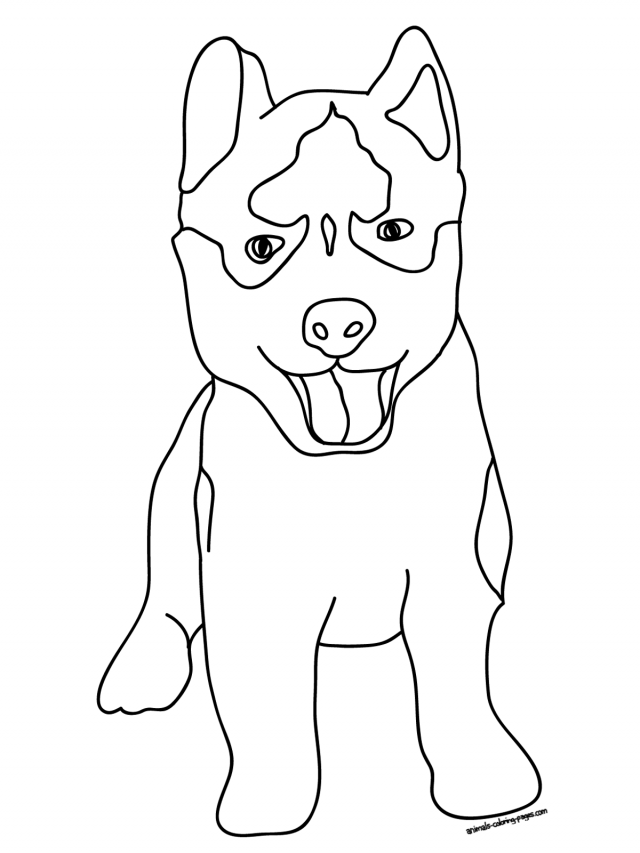 Black-and-white line drawing of a happy, cartoon-style husky puppy with tongue out and alert ears.