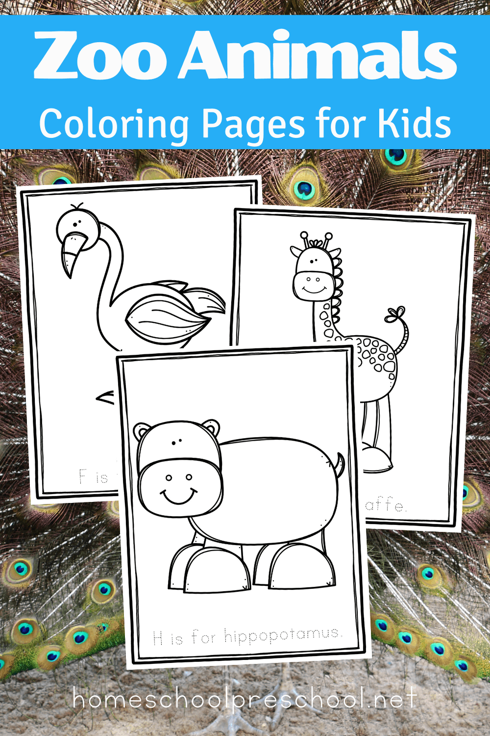 Dear Zoo- Drawing & Colouring Book - Kids. Books. we. love