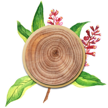 Natural Wood Texture with Botanical Elements - Eco-Friendly Design Inspiration