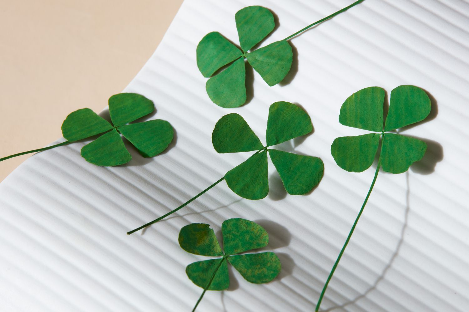 The Lucky 4-Leaf Clover: Facts and Myths