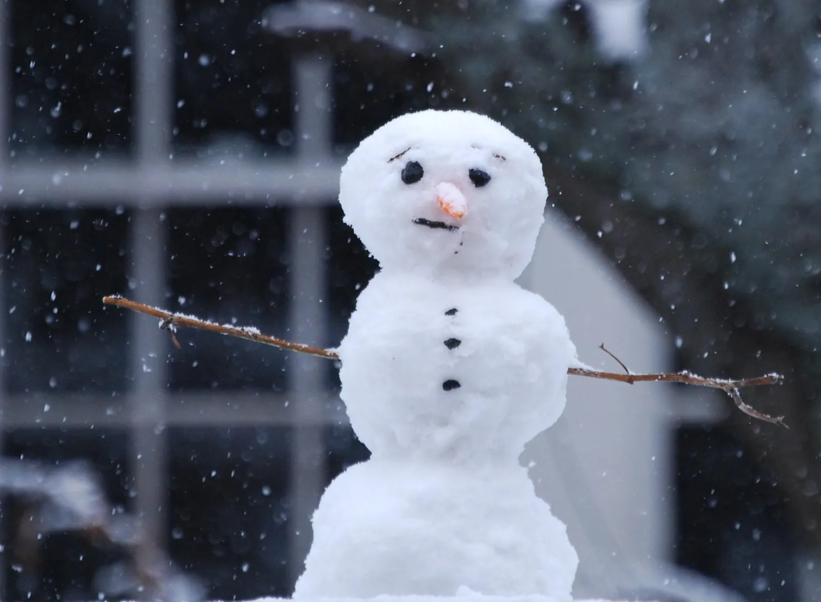 a picture of a snowman