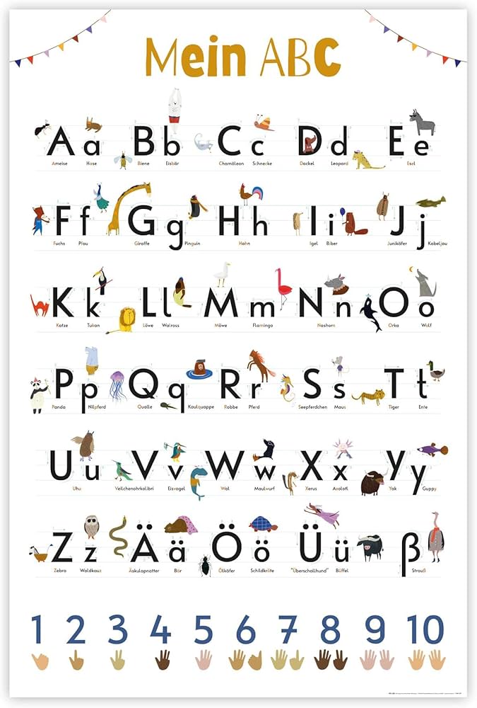 Close Up Das ABC Premium Poster für Kinder, Alphabet Lern-Kunst-Plakat - 61  x 91,5 cm, UV-Lack Beschichtung Exklusiv : Amazon.de: Küche, Haushalt &amp; ...