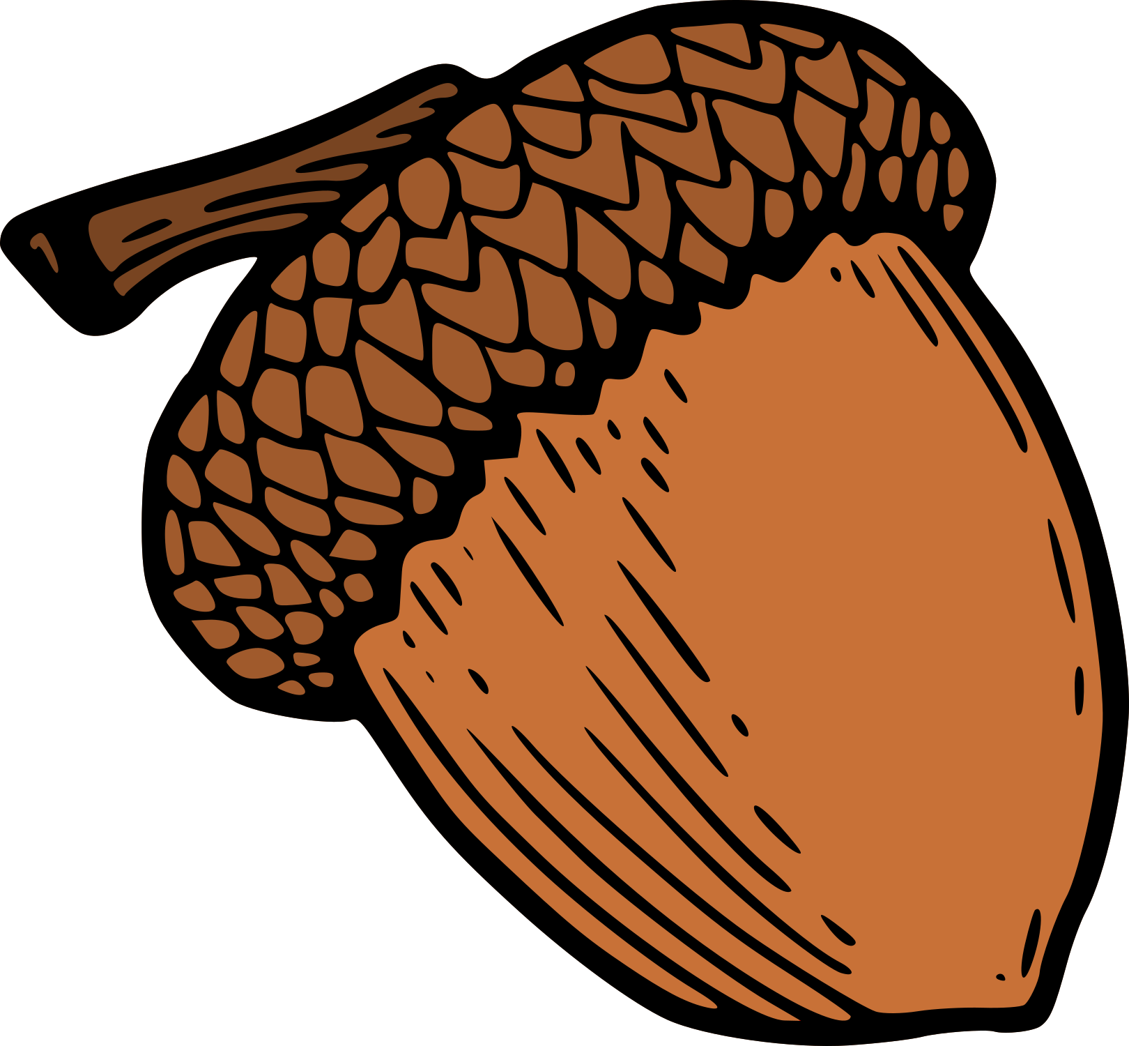 Acorn Cliparts Free Downloadable Acorn Images And Graphics