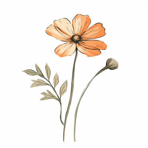 aesthetic flower clipart