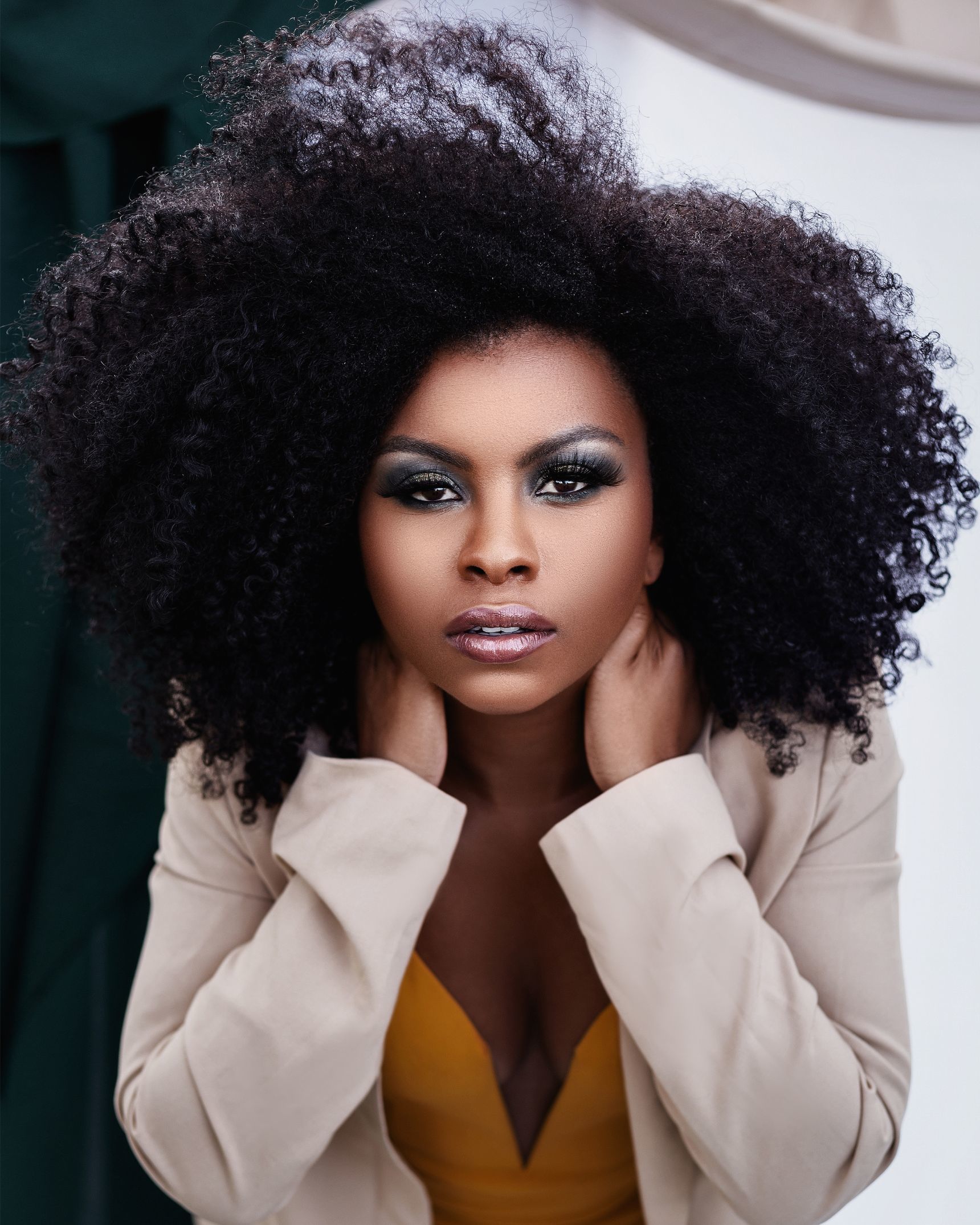 The Complete Guide To Afro Hair Care and Styling Tips | All Things ...