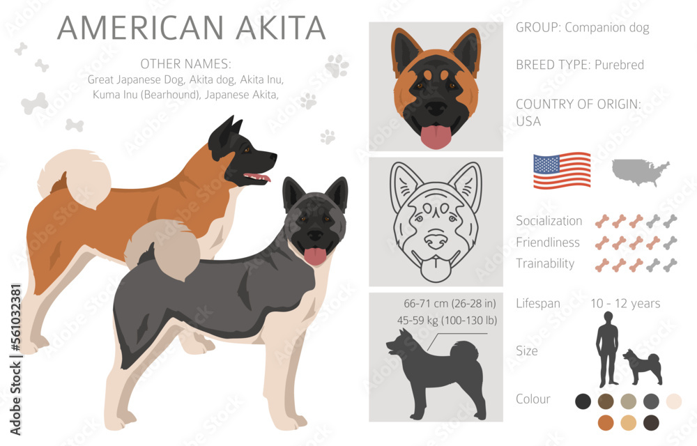 akita cliparts