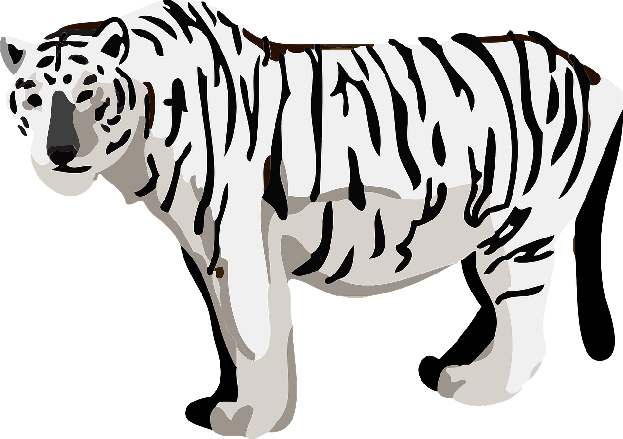 albino tiger cliparts
