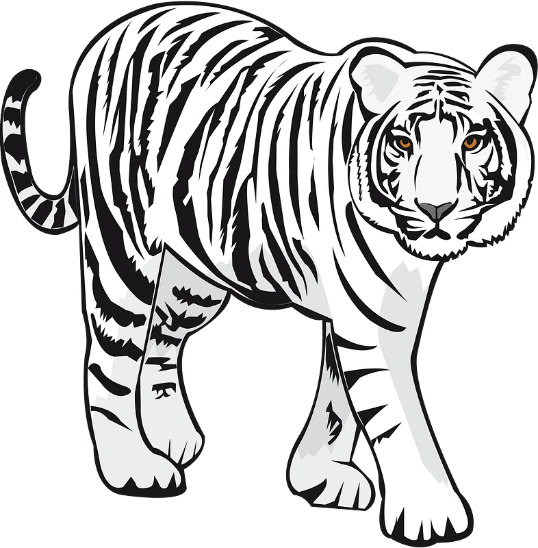albino tiger cliparts