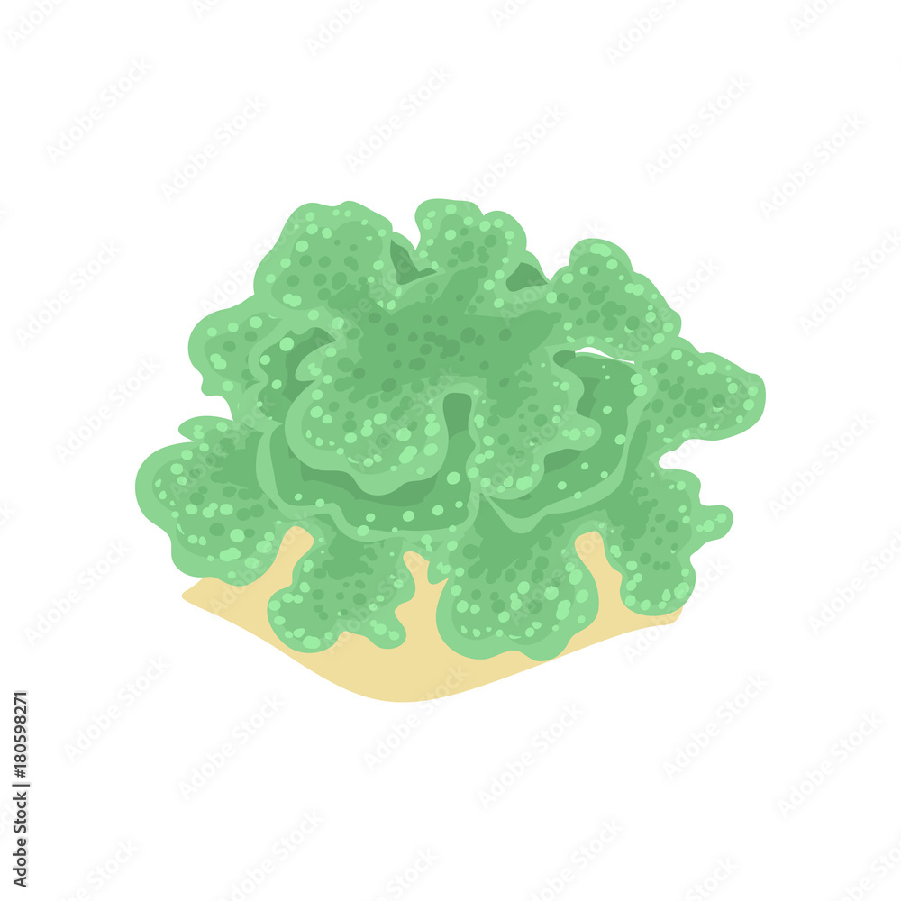 Stock-Vektorgrafik „Cartoon illustration of green algae from ...