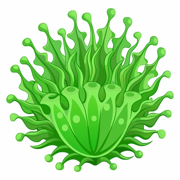 Algae clipart vector illustration | Premium AI-generated vector