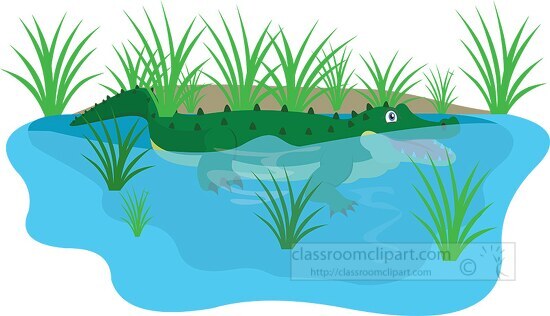 alligator swamp cliparts