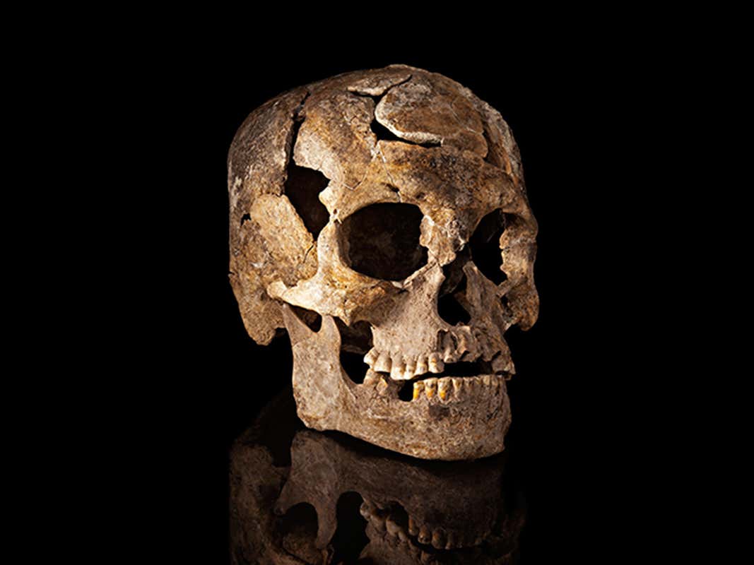 Skulls reveals that ancient Americans didnt mix with neighbours ...
