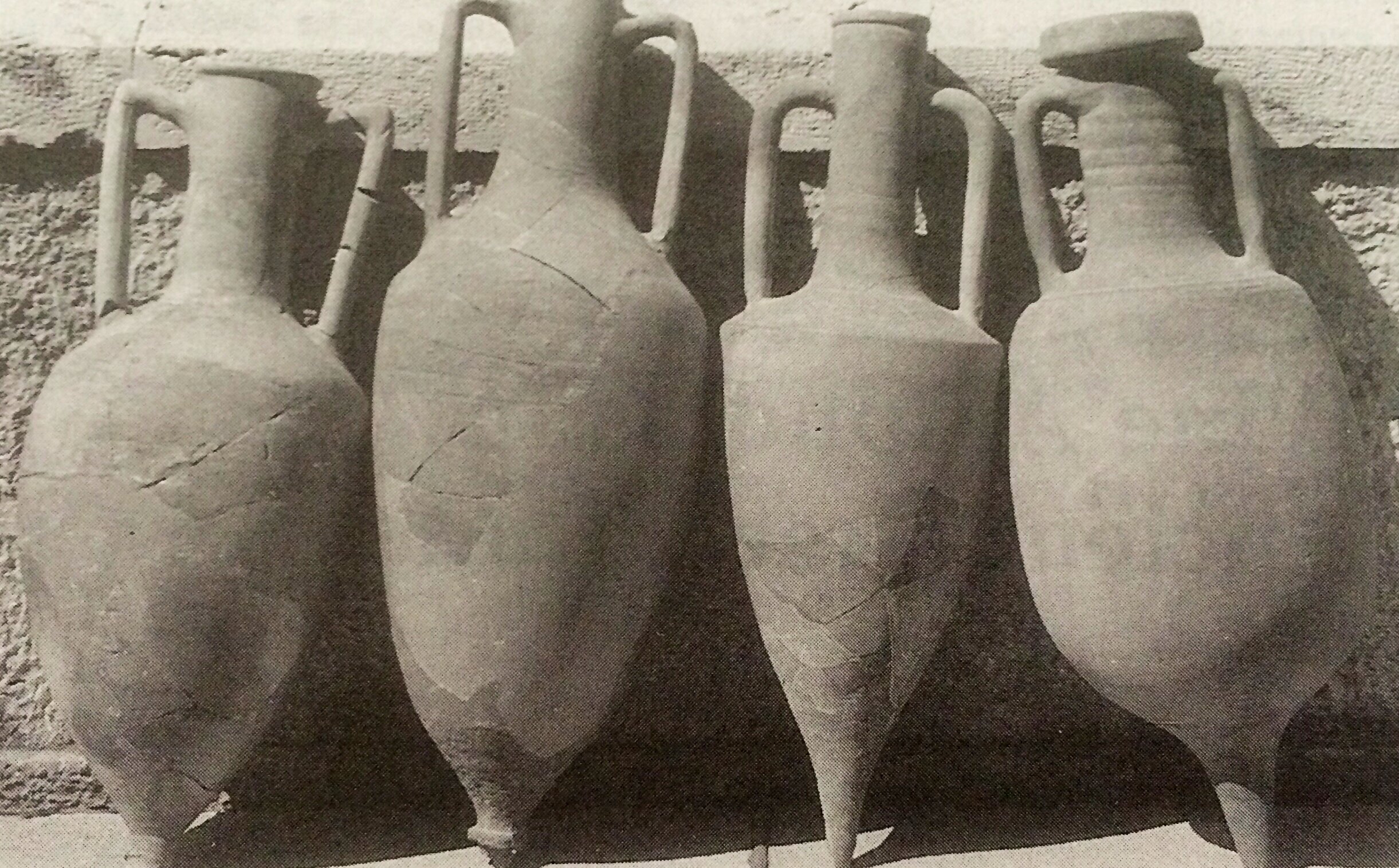 The Story Behind the Name: What Does Amphora Mean? | Amphora ...