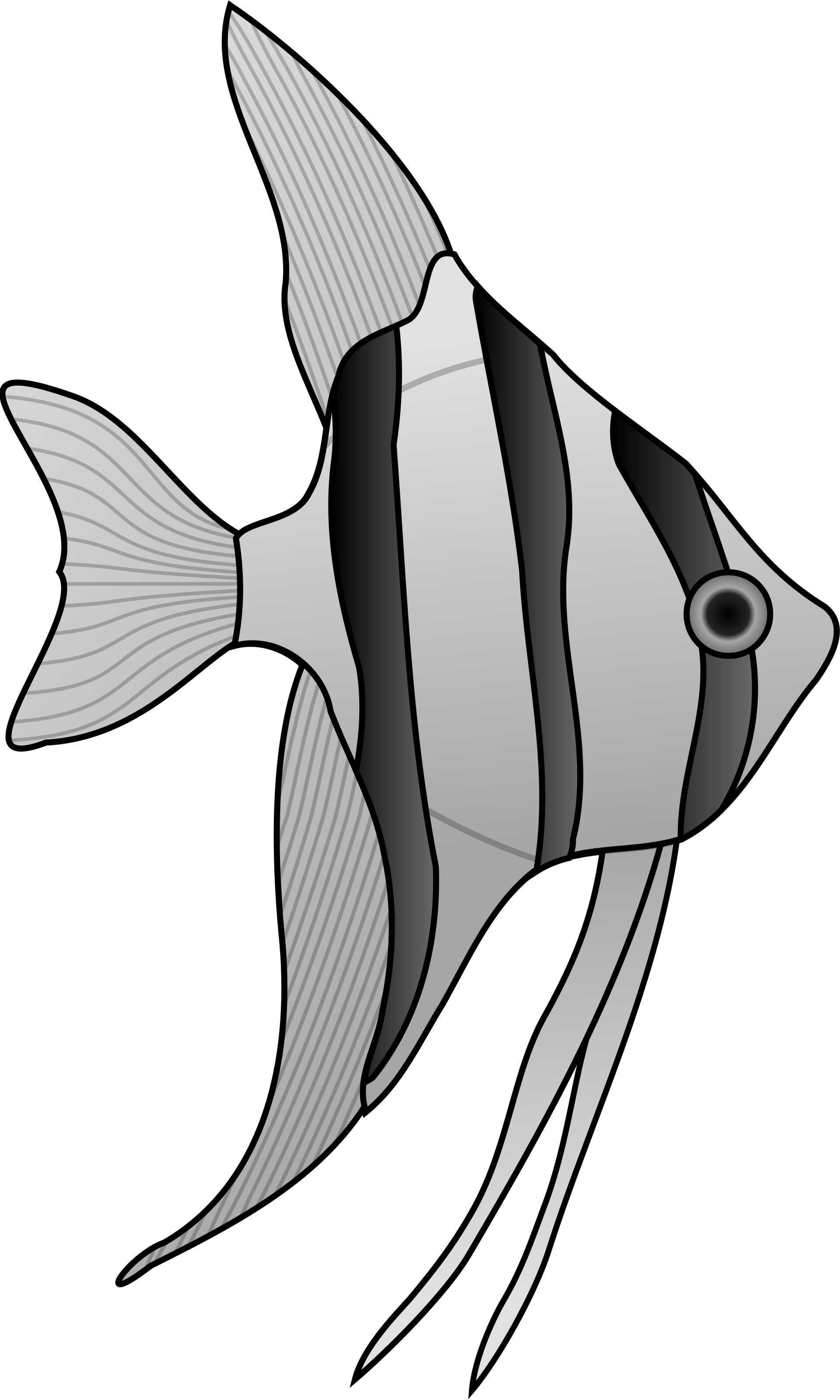 Angelfish - Free vector clipart images on clipart library.com