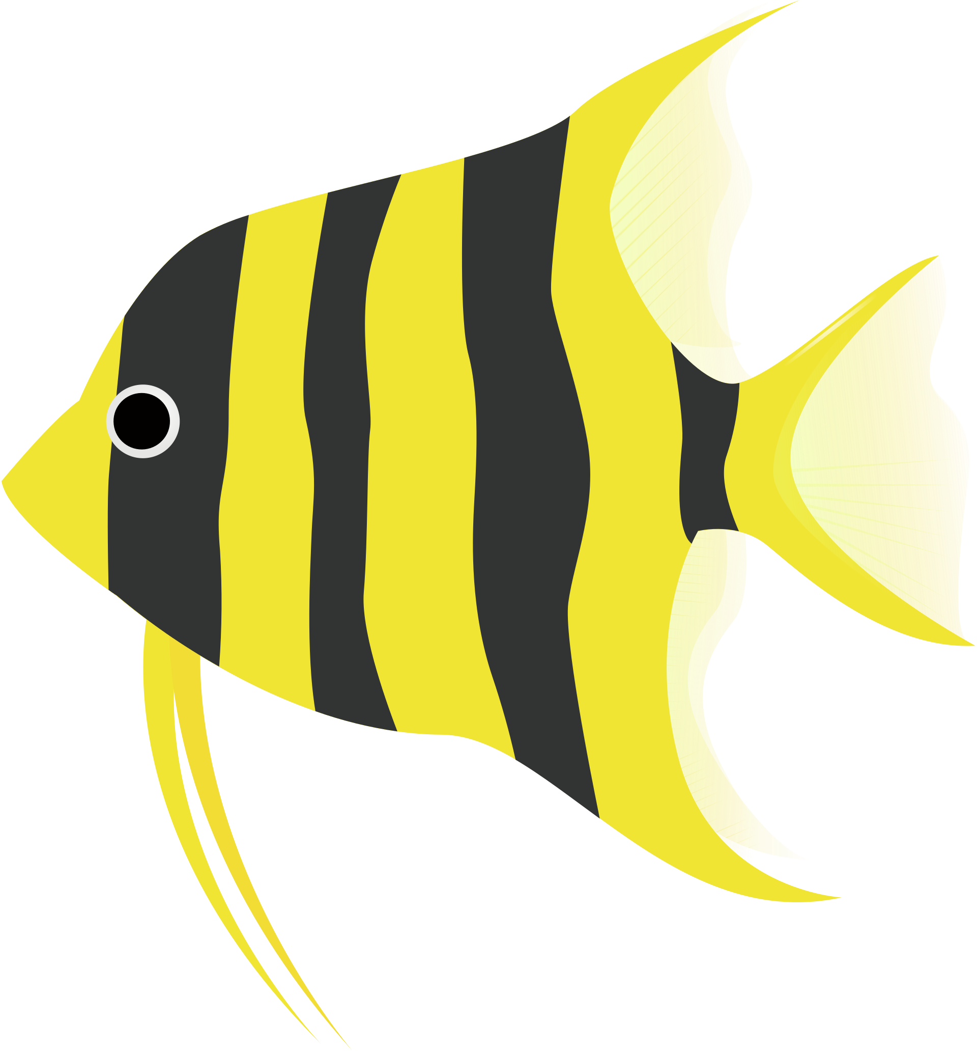Angelfish - Free vector clipart images on clipart library.com