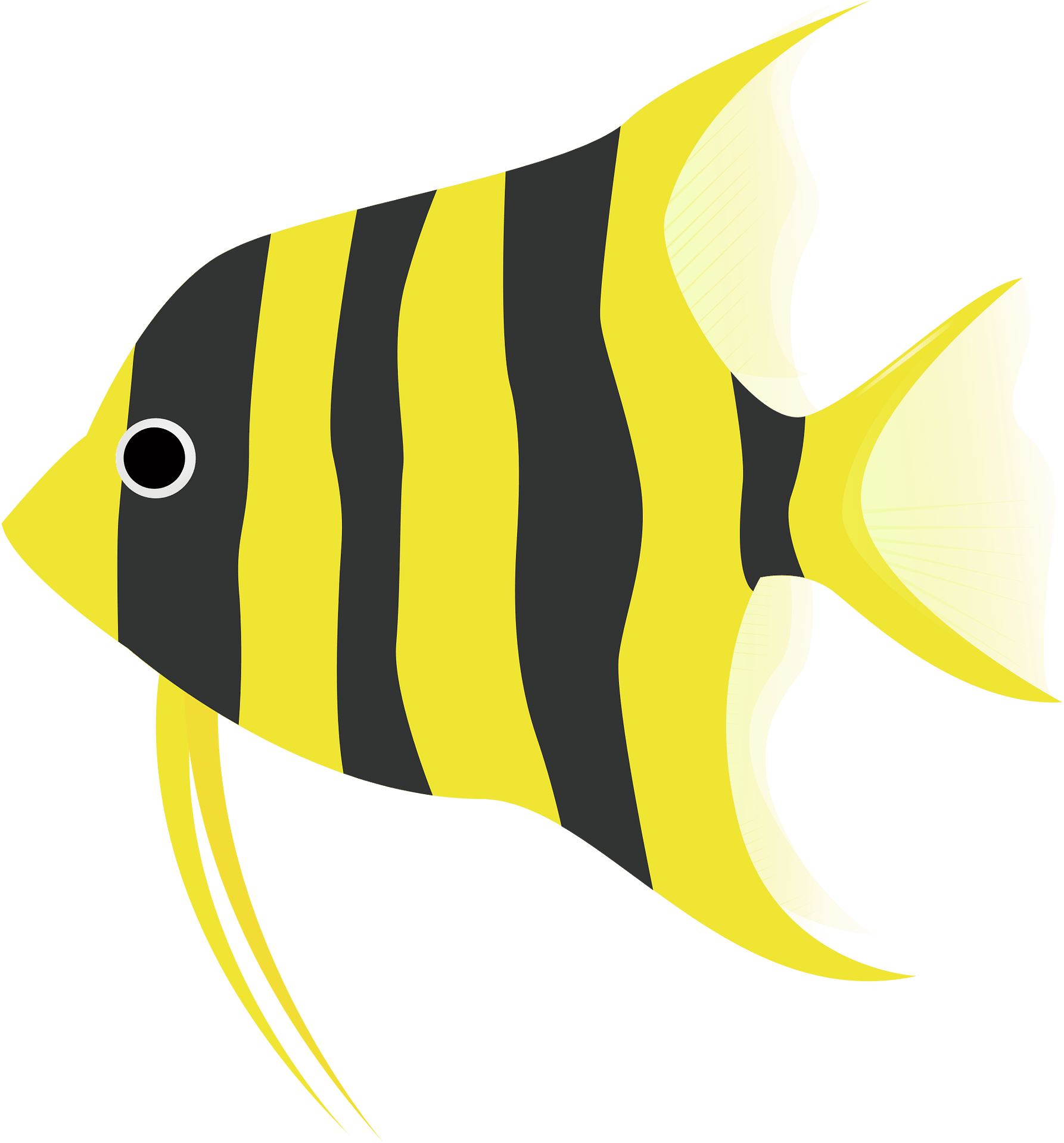 Angelfish - Free vector clipart images on clipart library.com