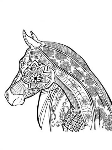 animal coloring pages for teens