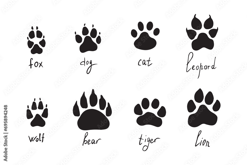 Poster, Wandbilder Animal paw prints set, vector different animals  footprints, 40x26.7 cm