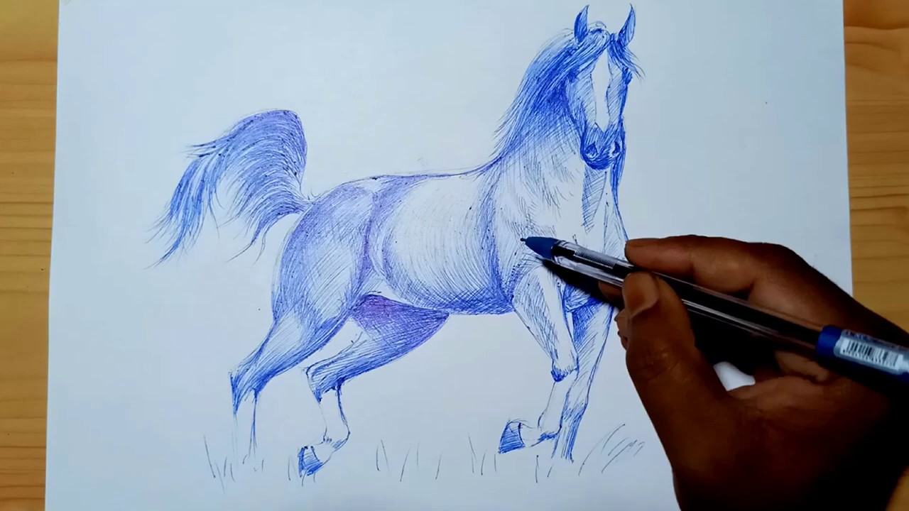 animal pen cliparts 2024