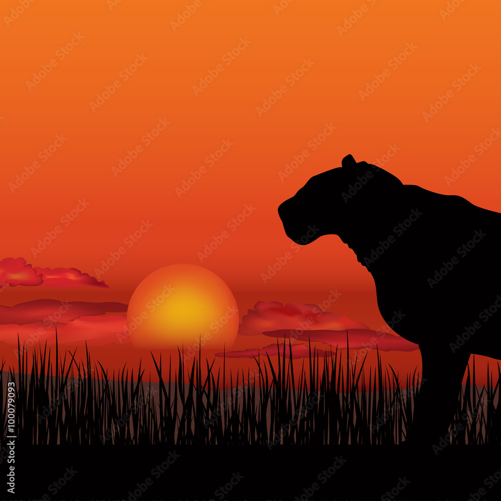 animal silhouette pictures