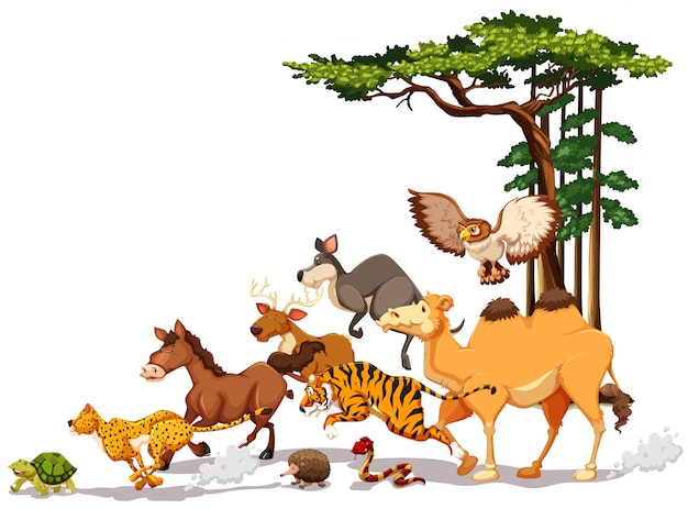 animal wildlife cliparts
