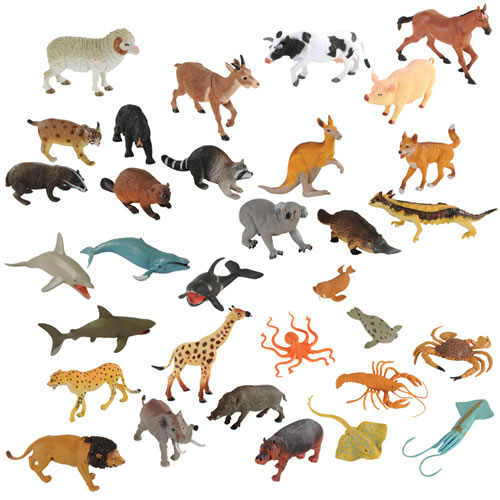 animal wildlifes