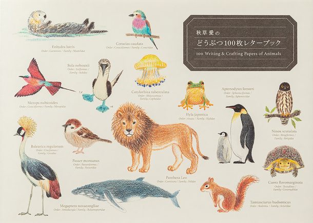 100 Writing &amp; Crafting Papers of Animals | PIE International