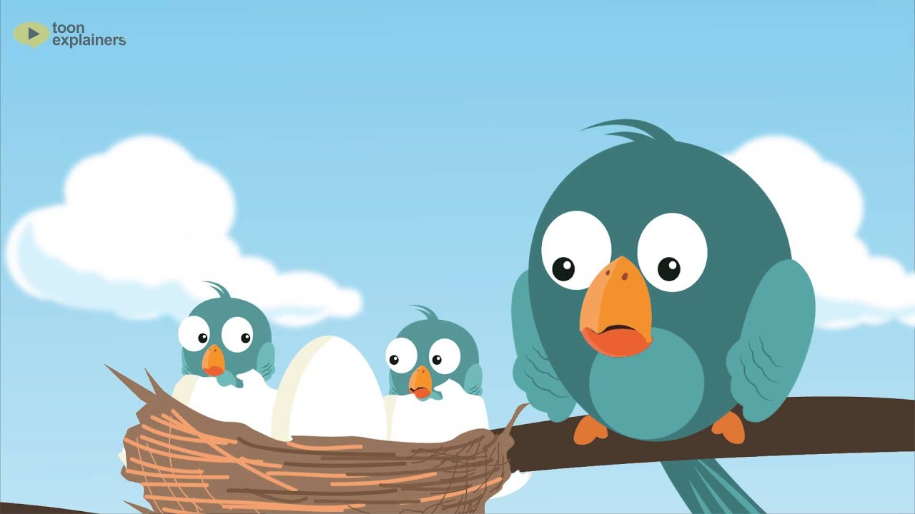 Intelligent Bird - An Interesting Animated Short