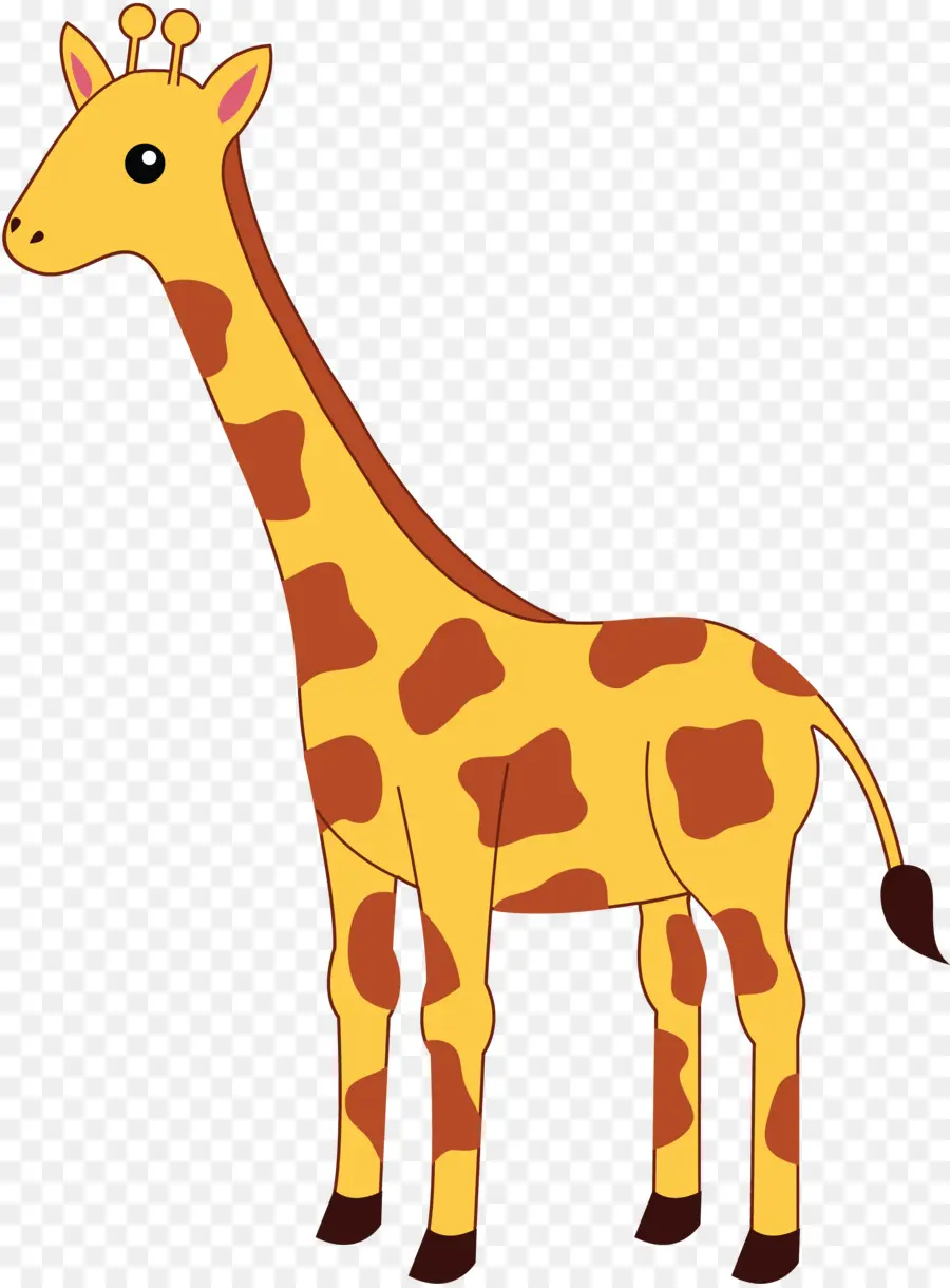 Cartoon Giraffe - Cartoon Giraffe Illustration for Kids - CleanPNG ...