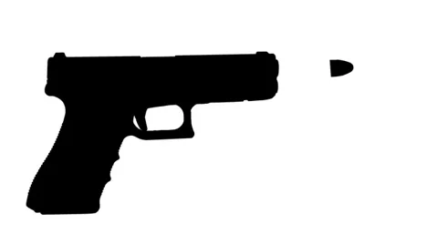 animateds gun
