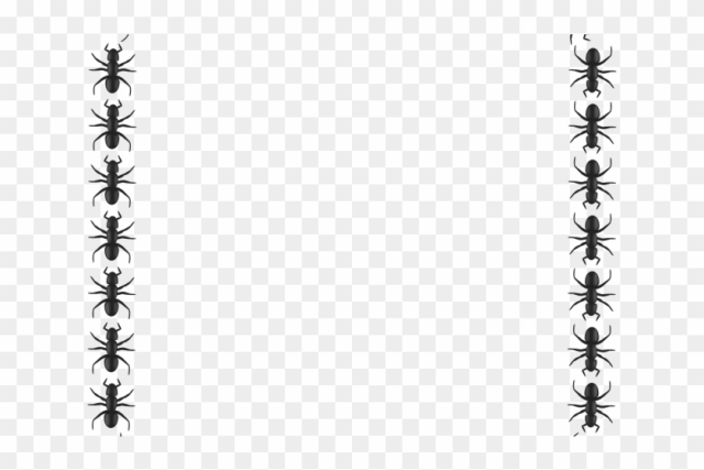Free: Ant Border Cliparts - Border Of Ants Transparent - nohat.cc
