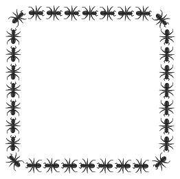 Ant Border Square Free Clipart Download | FreeImages