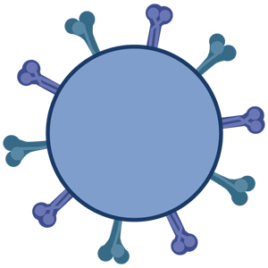 Cardiovascular Markers Antibodies and Antigens - Creative Diagnostics