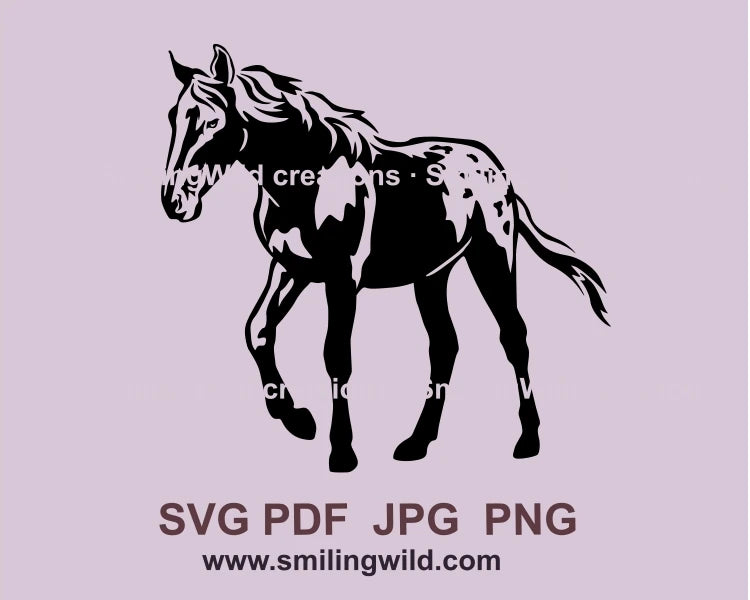 appaloosa cliparts 2024