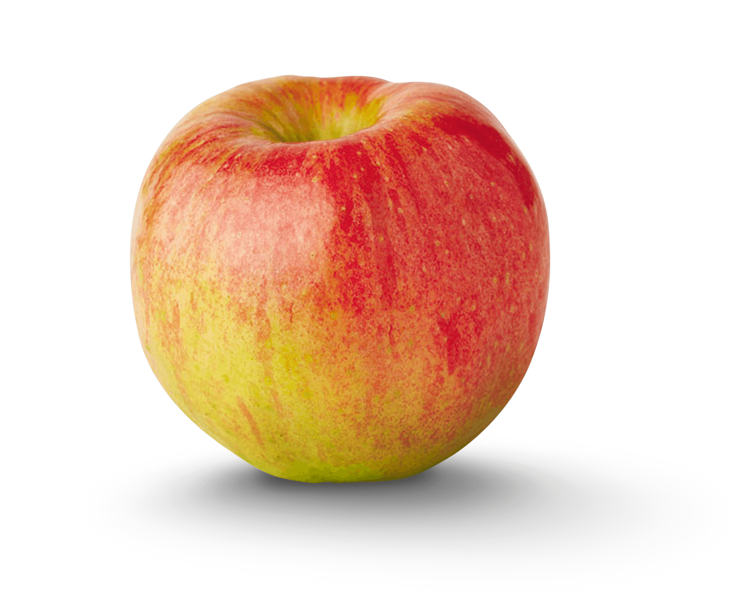 Varieties Archive - New York Apple Association