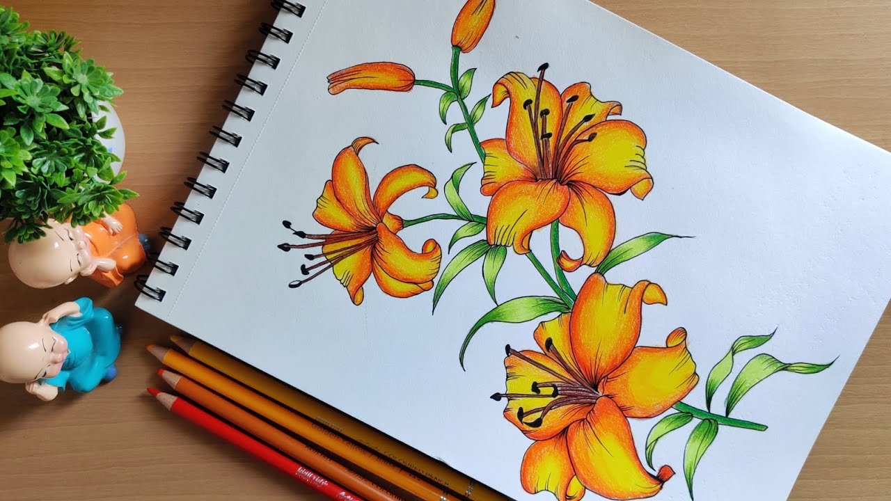 Painting Flowers using Pencil Color | Step by Step Flower Painting for  beginners | Pencil Color Art