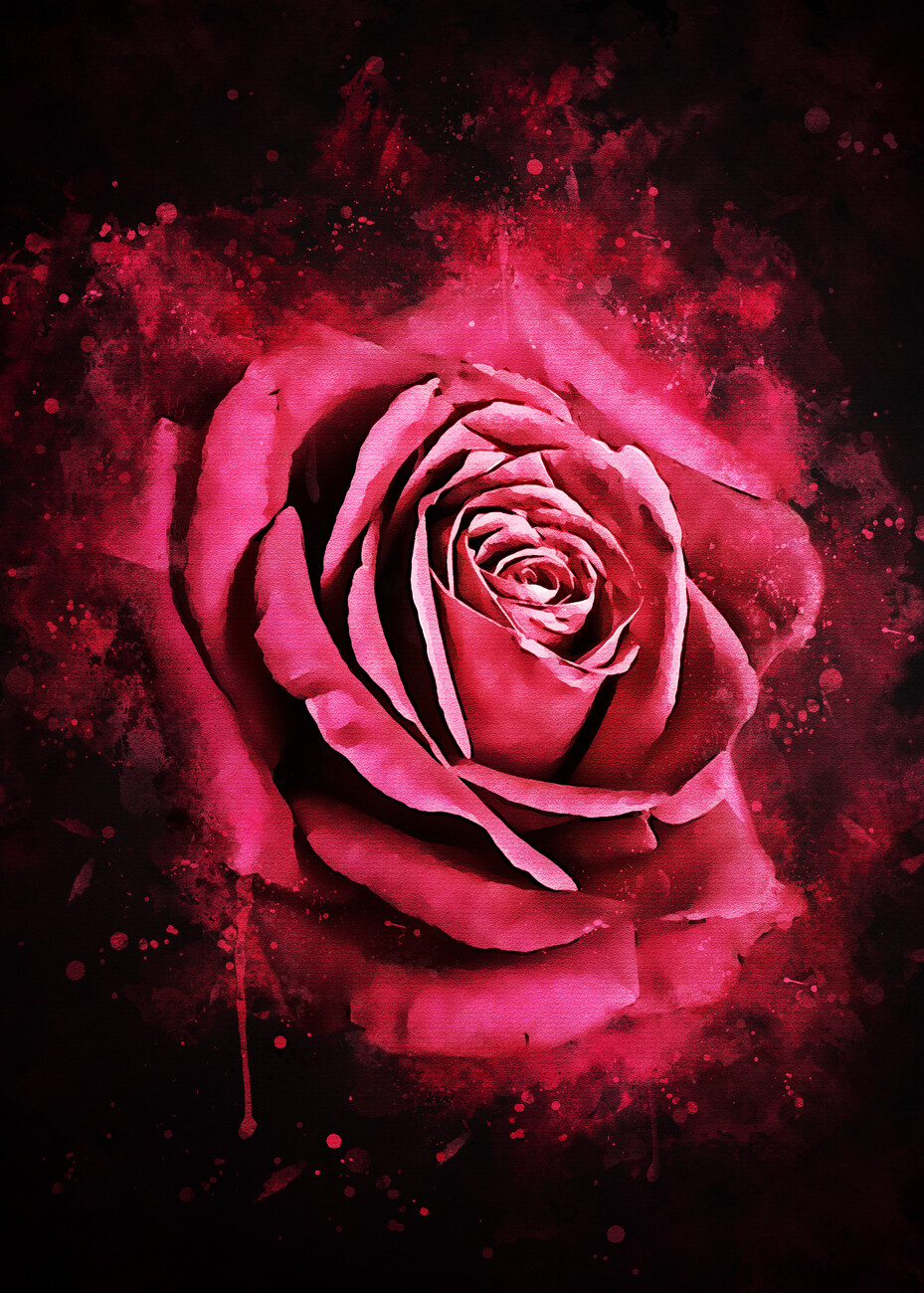 art pictures of roses