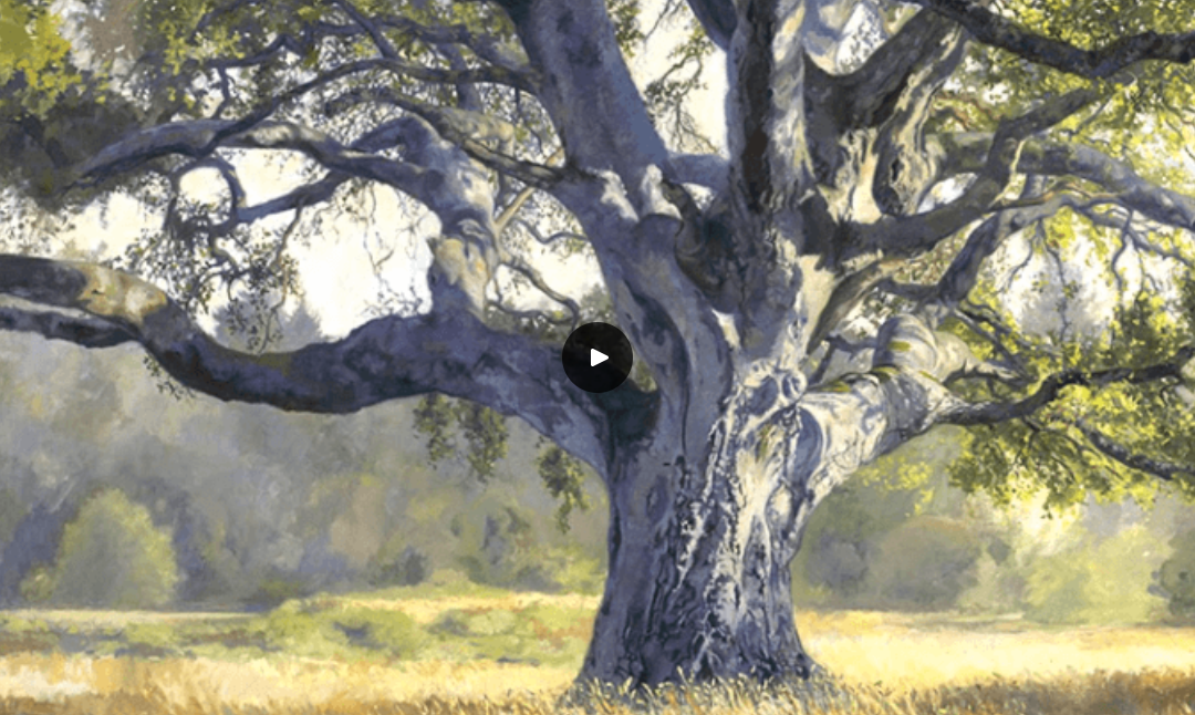 art pictures of trees