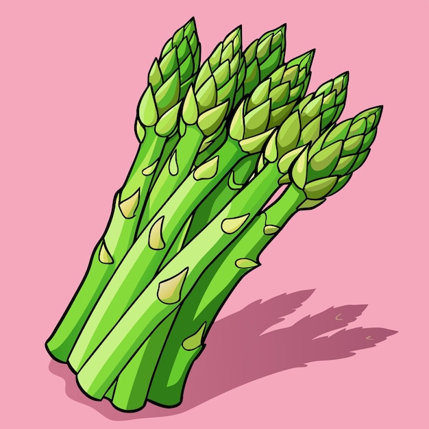 Asparagus clipart cartoon style vector illustration | Premium AI ...