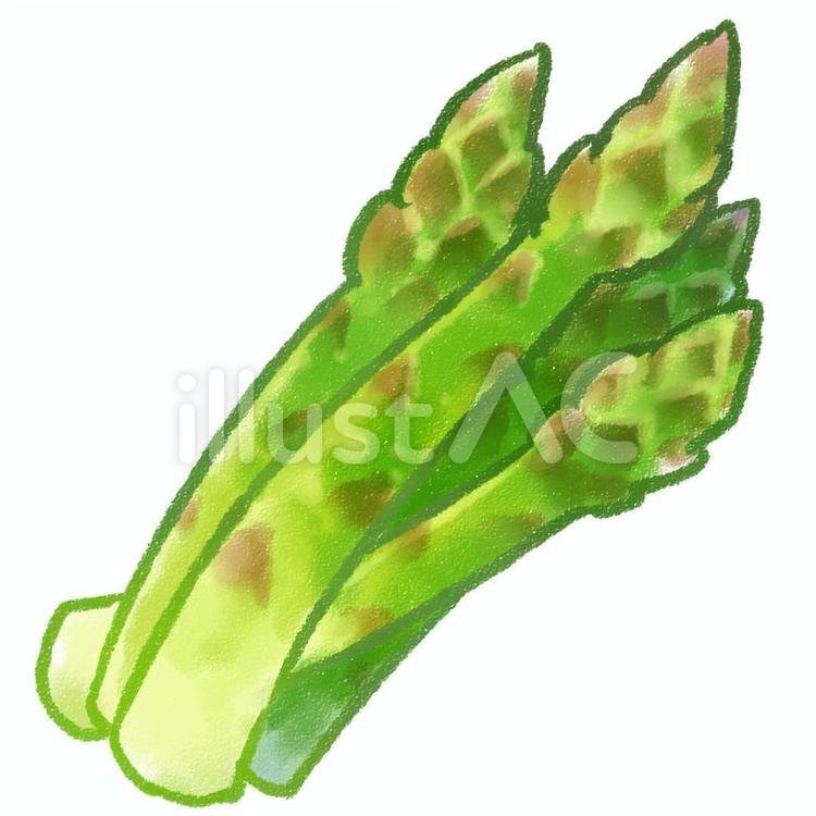 asparagus cliparts