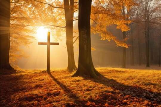 Autumn Church Images – Browse 266,139 Stock Photos, Vectors, and ...
